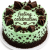Mint Chocolate Cake