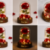 Romantic Eternal Rose LED Glass Dome – Love You Gift for Valentine, Anniversary & Birthday