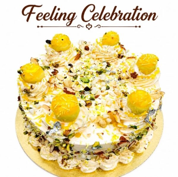Rajbhog Delight Cake