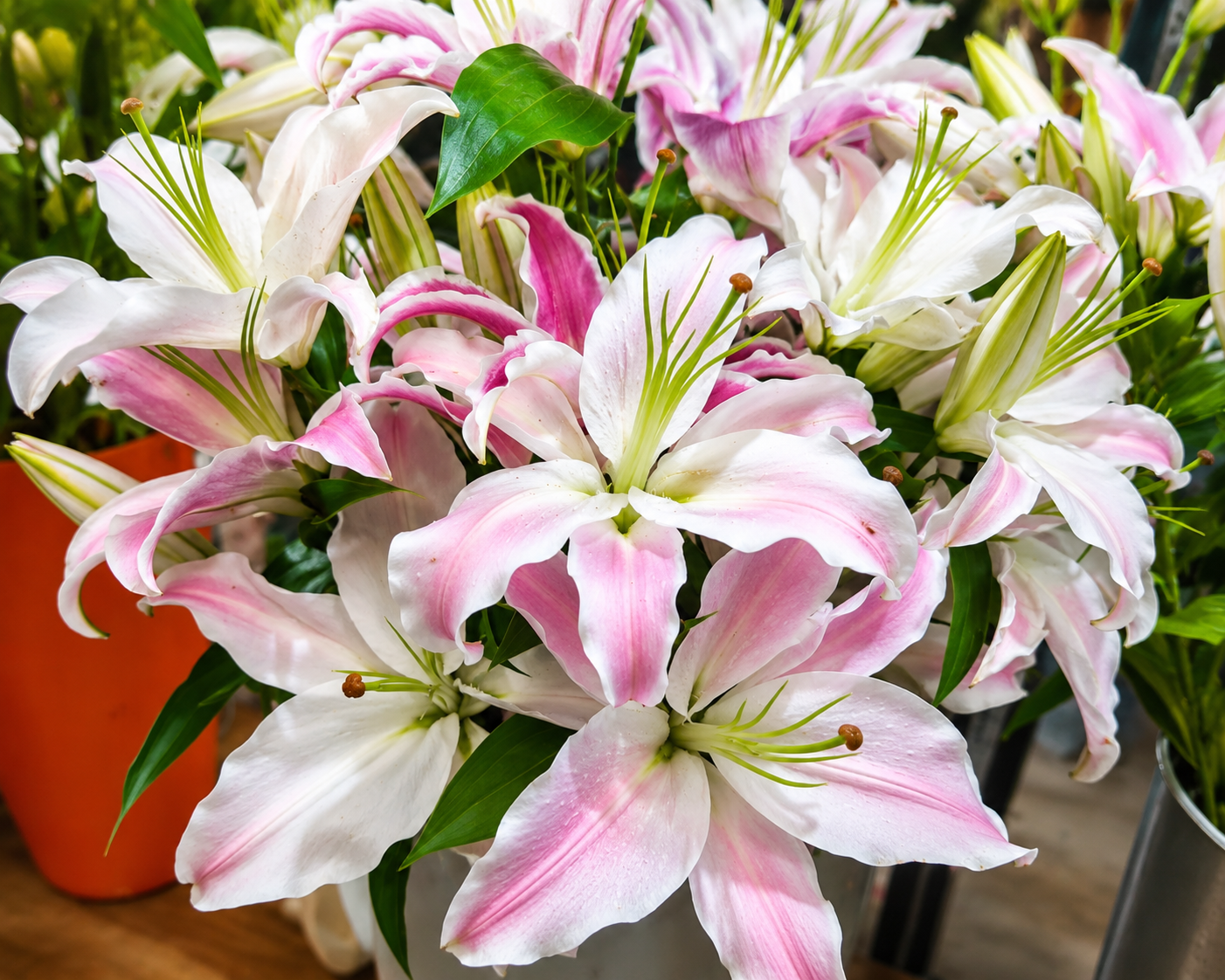 Pink & White Lily Flower Bouquet