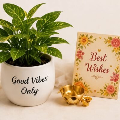 Good Vibes Only Decorative Plant Gift Set