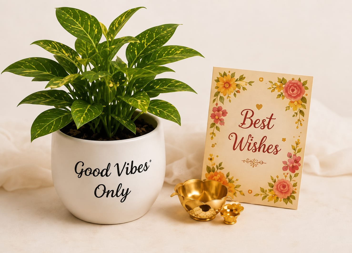 Good Vibes Only Decorative Plant Gift Set